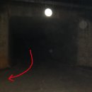 팔봉1리 경로당 Daum카페
