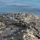 양남주상절리 이미지