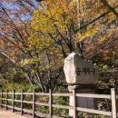 월악산 별장펜션 이미지