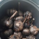 구름정원펜션 이미지