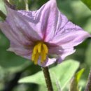 원촌농장 이미지