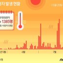 펄펄 끓는 대한민국…온열질환자 89명 응급실행, 2명 숨져 이미지