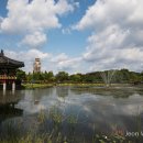 한밭수목원 동원 이미지