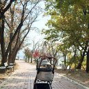 도그앤캣 동물병원 | 왓도그캣 포로리 강아지 유모차, 두마리 산책이 가벼워졌어요