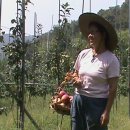 한상용 농장 이미지