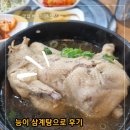 일품농장 | 합정밥집 능이 삼계탕으로 몸보신 하고온 후기 마포오리농장합정
