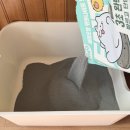 늘, 고운펫 | 부드러운 고양이 벤토나이트 모래, 세이오앙 고운입자 일주일 사용 후기