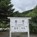정선해뜨는민박펜션 | 정선펜션 추천, 과일 향 가득한 펜션 마당과 정선 숨은 핫플의 중심 ‘해뜨는 민박 펜션’