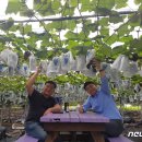 이관재농장 이미지