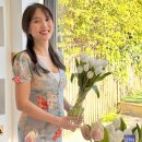 모이몰른 이미지