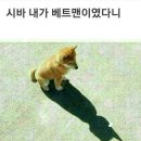 베트맨 - 수성구 청수로 92 | 베트맨