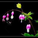 옥계남로5길-1 이미지