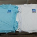 태권도 branch 이미지