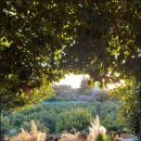 카페꽁냥 이미지