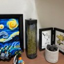 자연가습 이끼 테라리엄 이미지