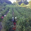 달천농장 이미지