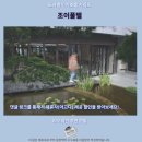 장교 휘트니스 센터 | 조이풀텔 후기 타오위안 가성비 숙소 추천