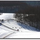 산들목장 이미지