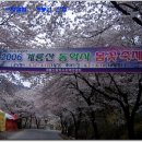 4월 11일 - 투표후 8시부터 출발 - 계룡산 동학사 벚꽃 축제 산행 트레킹 이미지