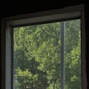 가온이네 이미지