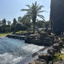 오레브온천앤스파(O'REVE HOT SPRING&SPA) 이미지