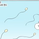 허영만의 꼴 - 제404화 (부인을 알고 싶으면 그 아들을 보라) 이미지