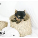 인덕원역 7번출구 인덕원성당옆 이미지