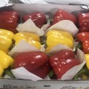 파프리카유치원 이미지