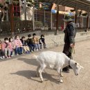 산양병설유치원 이미지