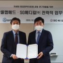 에스지메디칼 이미지