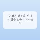 바다와 마주하는 휴식: 펜션에서 오션뷰와 해산물 만끽하기