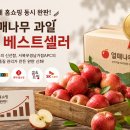법인과일나무