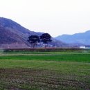 원동마을길 이미지