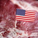 트럼프, 미국 '빅4' 육류 가공업체에 대한 조사 발표 "JBS, 카길, 타이슨 푸드, 내셔널 비프 등 "빅 4" 패키징 업체" 이미지