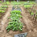 삼선농장 이미지