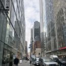 신화빌딩 DC백화점 | [미국 뉴욕 여행.20] 센트럴파크 울먼 아이스링크 앳홈트립 스케이트 대여 입장권 가격, 루이비통건물...