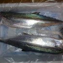 오늘의 생선 이미지