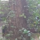 엑스코 관광안내소 이미지