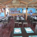 뱅크트리 이미지