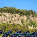 울릉산림직거래 영농조합법인