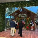 현대썬앤빌대구 정문 앞 | [공지] 대구 더현대 크리스마스 팝업 위치 포토존 예약방법 꿀팁후기