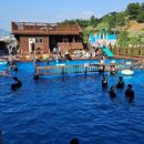 경희대국가대표 태권도 이미지