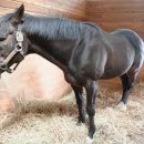 장수목장 이미지