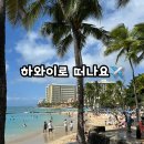 053짐 | [하와이] 대한항공 KE053 기내식 및 좌석 후기