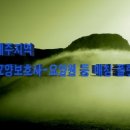 중문요양원 | 요양보호사 구인(오일장, 제주교차로, 건강보험공단 등 정보색출) ★★★