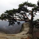 박정식농장 이미지