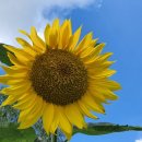 목포산업 이미지