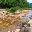 시어동 캠핑장 이미지