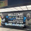 MIRA펜션 | 9월 제주 여행 ::산지해장국|오설록 티뮤지엄|하소재 제주|미영이네|rnr베이커리