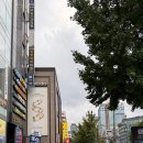 모두모두 성인콜라텍 | [아크레도 종로] 가는 길 주차장 외관 및 내부 소개!